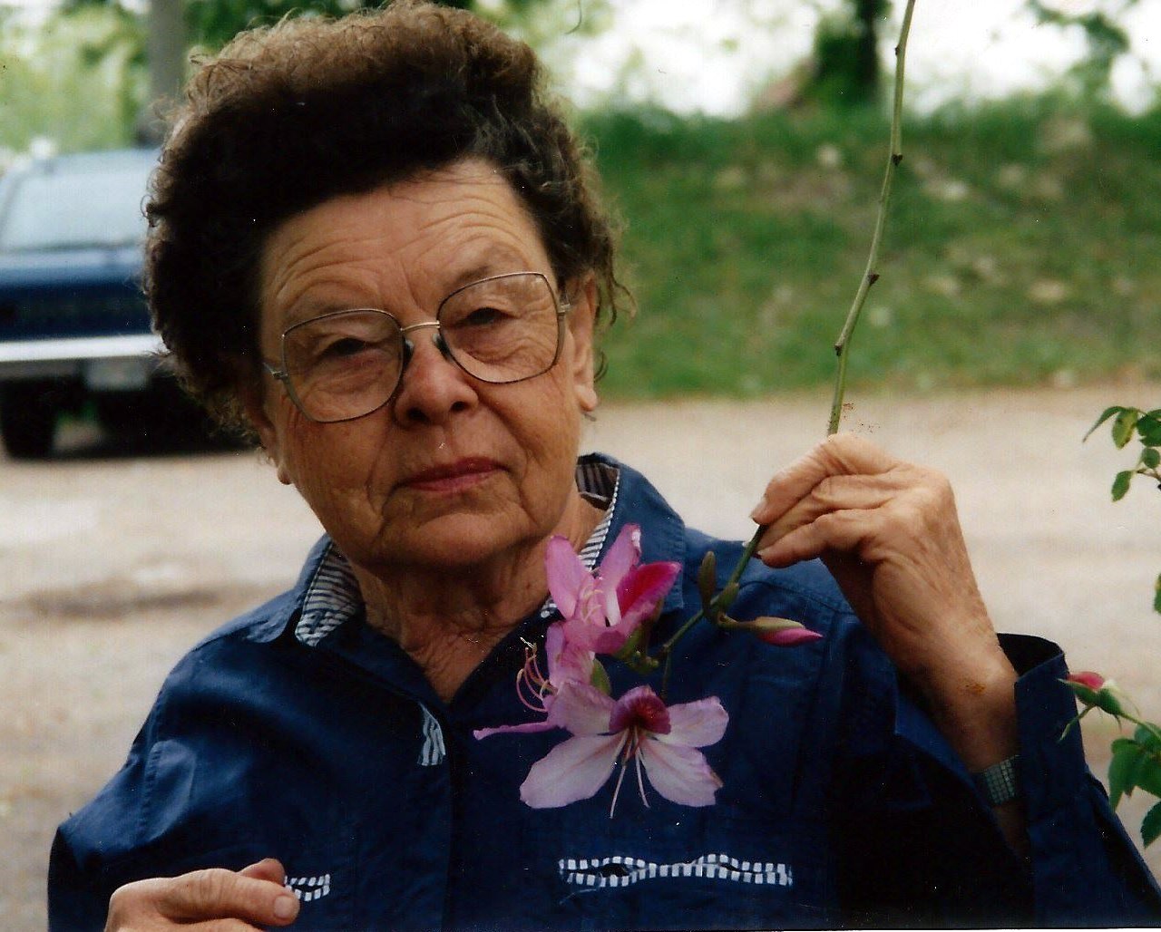 Theresa Bailey Obituary - Houston, TX