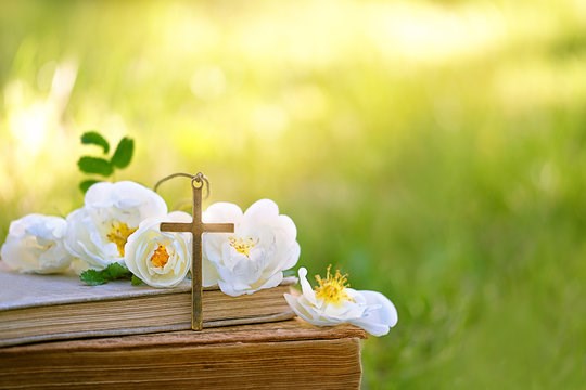 Obituary of Delores Ann Rogers