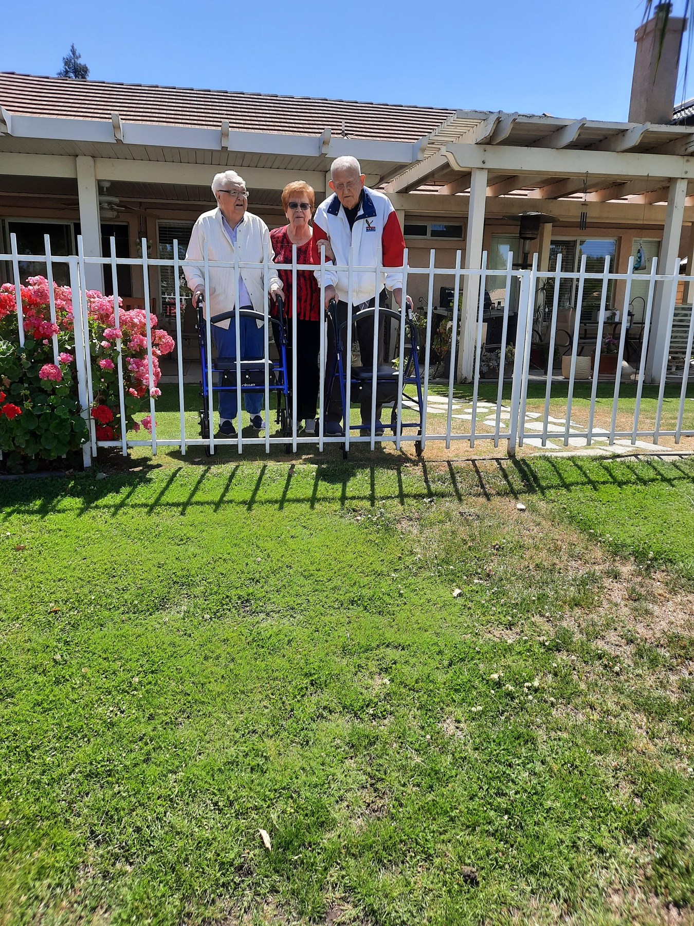 Obituary of David Clinton Williams