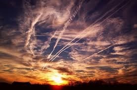 Obituary of Thomas Allan Reynolds