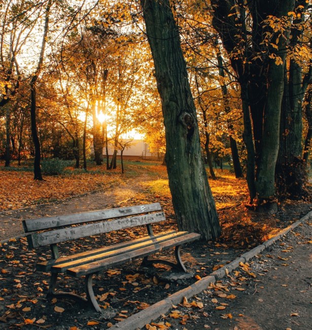 Obituary of Chris Thomas Groshong