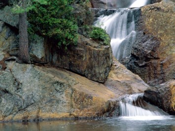 Obituary of James Coffey Sr.