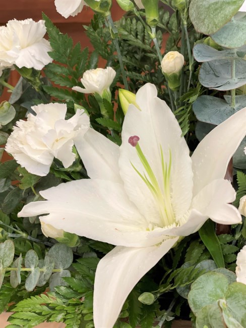 Obituary of Wei-Ping Chen