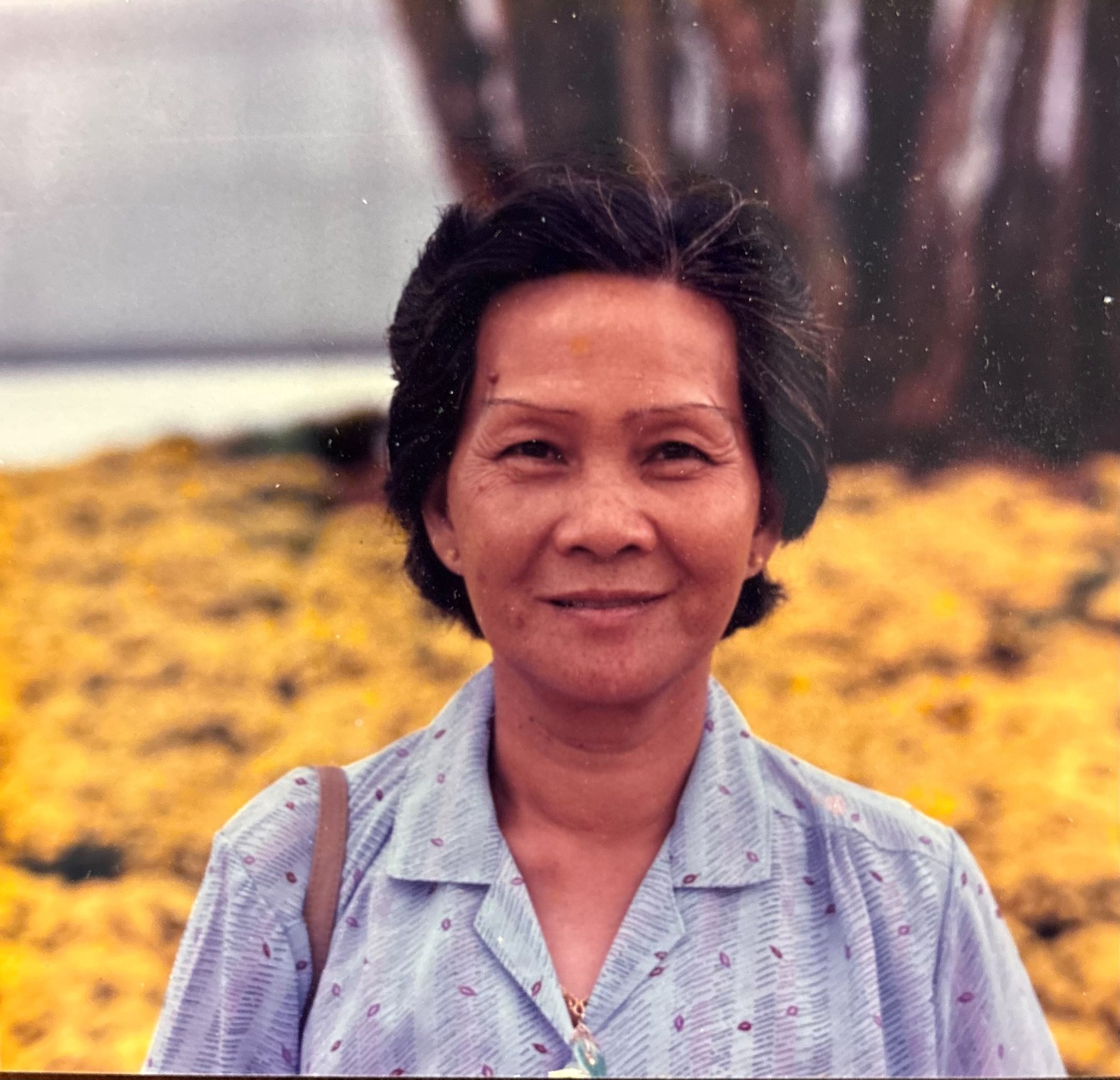 Obituary of Shi Lan Liang