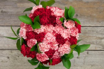 Obituary of Joycelyn Rosella Marie Packard