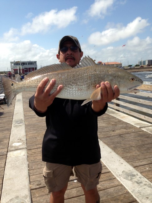 Obituary of Gerardo Banda