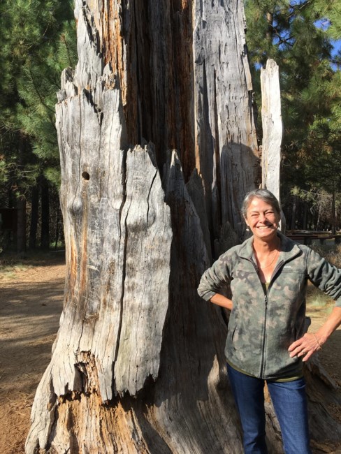 Obituary of Robin Lisa Cox