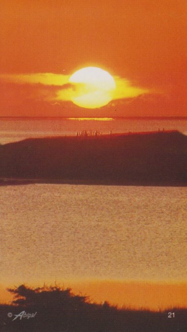 Obituary of Bruce D. Ferguson