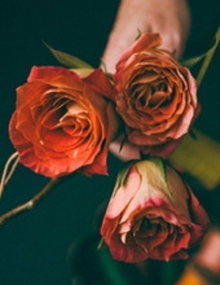 Obituary of Irene Hartl