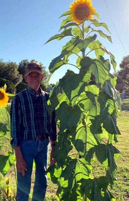 Obituary of David Ray Kastor