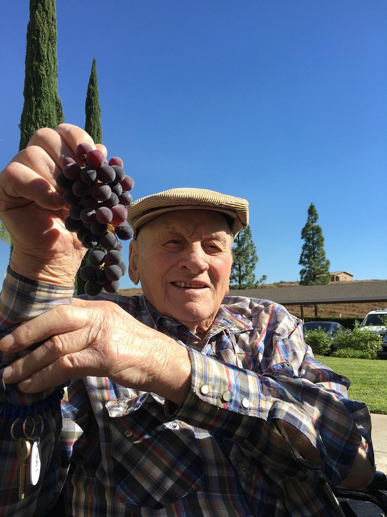 Obituary of Tony De Sousa Brazil