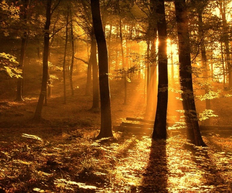 Obituary of John Wesley Johnson