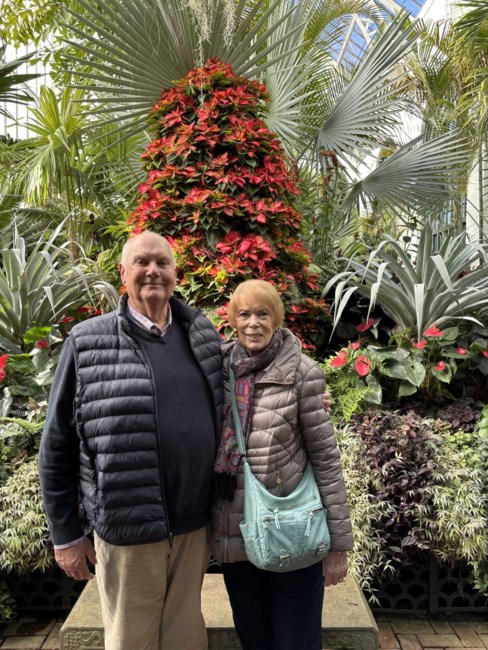 Obituary of Alice Meng