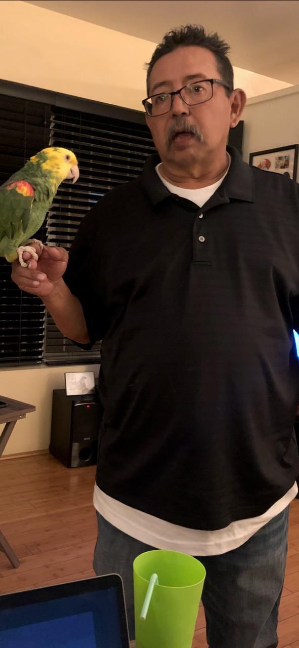 Obituary of Albert Gomez