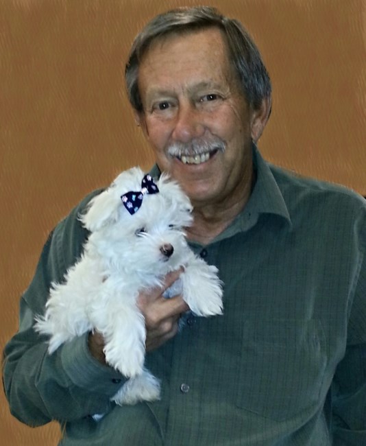 Obituary of Steve Haynes