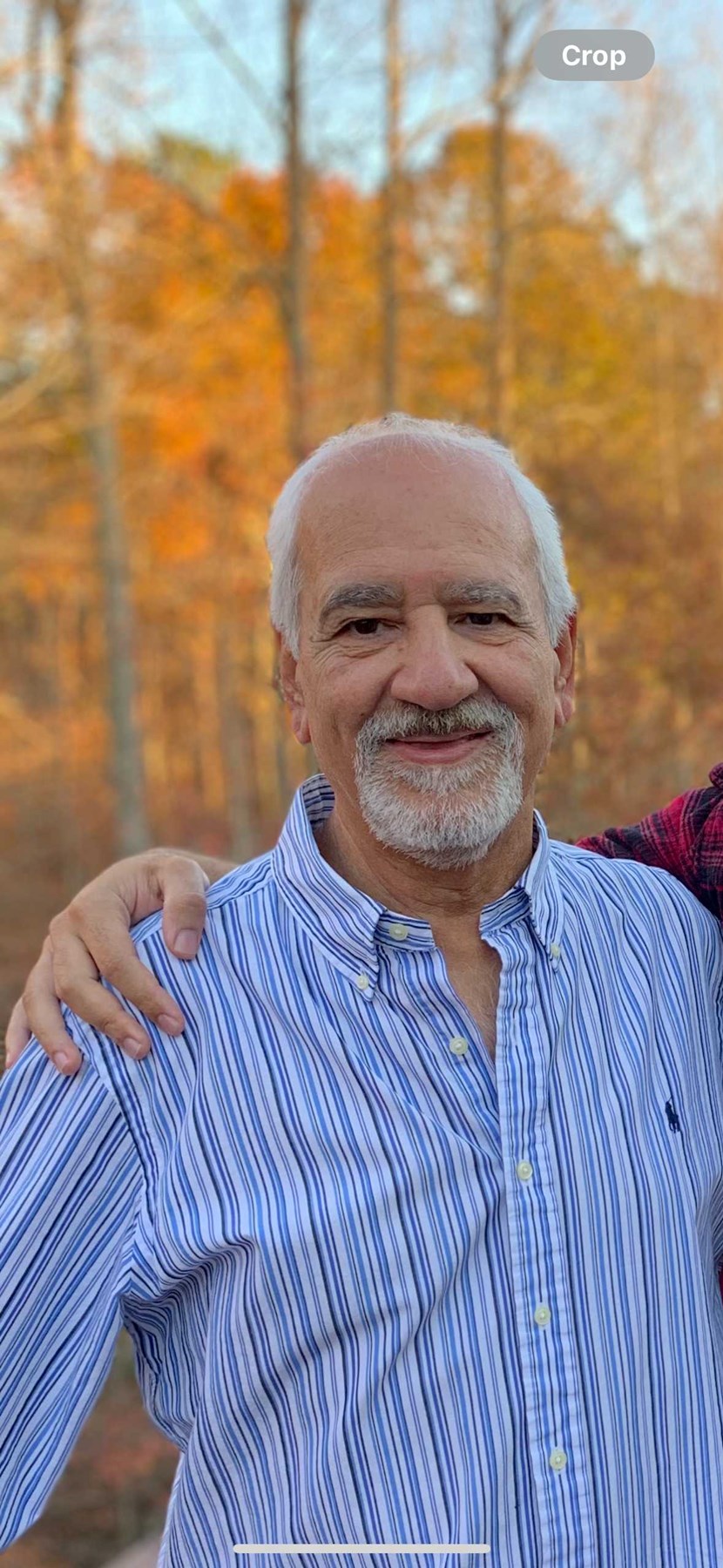 Obituary of Shahin Faghihi