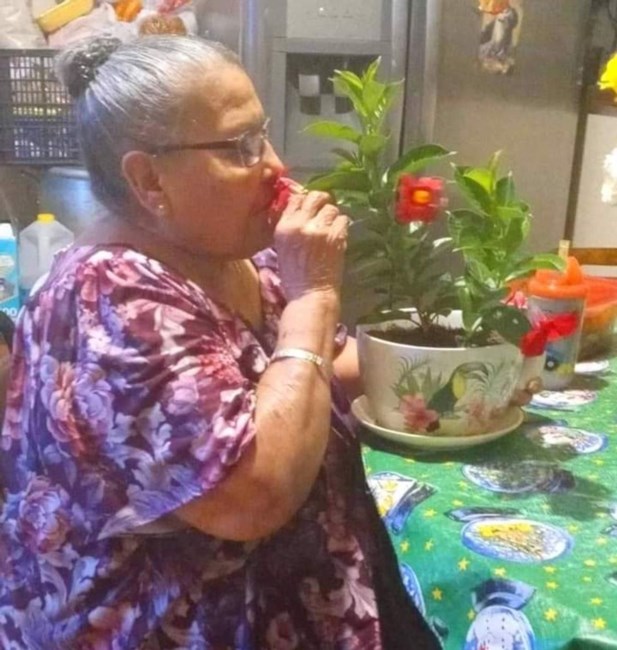 Obituary of Eulalia Garza