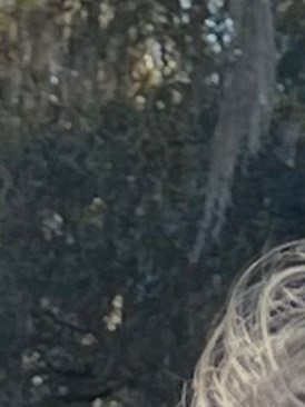 Sonya Rena Thompson Sonya Thompson Obituary - Pekin, IL