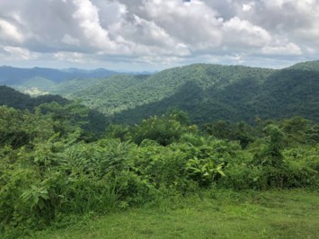 Obituary of Zhanna Zakharchenko