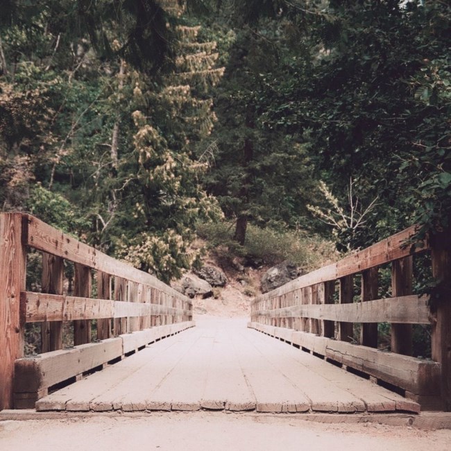 Obituary of Ronald Albert Diaz