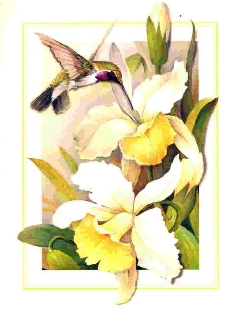 Obituary of Jeanette A. Gordon Howard