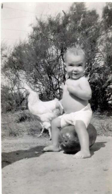 Obituary of Doyle R. Gibson