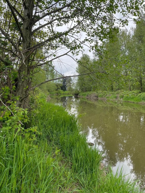 Obituary of Ernest Edward Downey