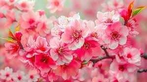 Obituary of Olga Lydia Cosio