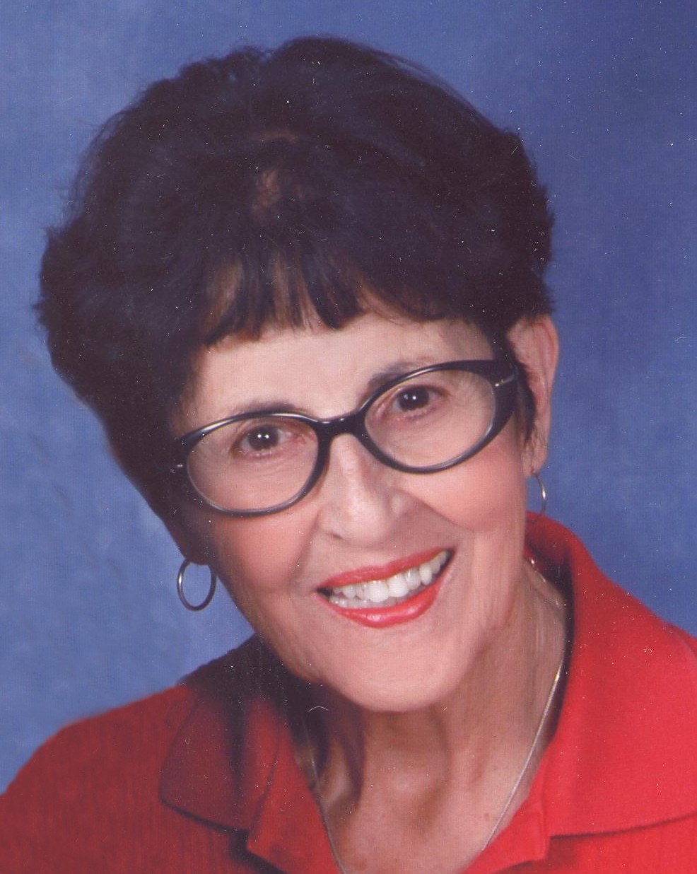 Joan SchmidGilroy Obituary Surprise, AZ