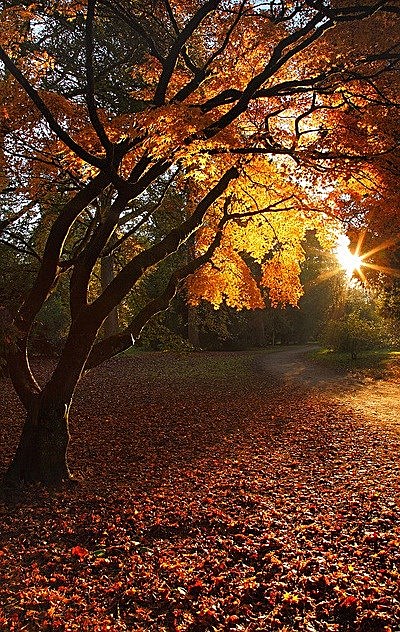 Obituary of Laurie L. Wheeler