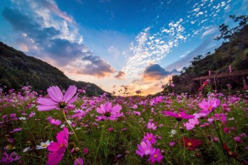 Obituario de Ana Maribel Hernandez Santamaria