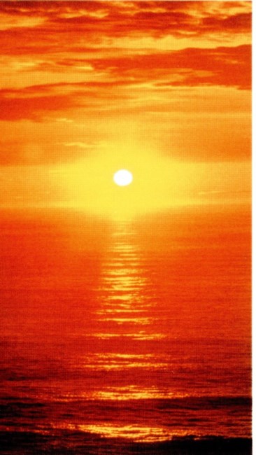 Obituary of Eugene Danyo