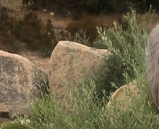 Victorville Ca Obituaries