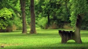 Obituary of Bernard G Davis