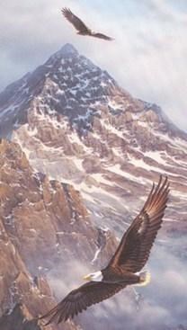 Obituary of Richard F. Redshaw