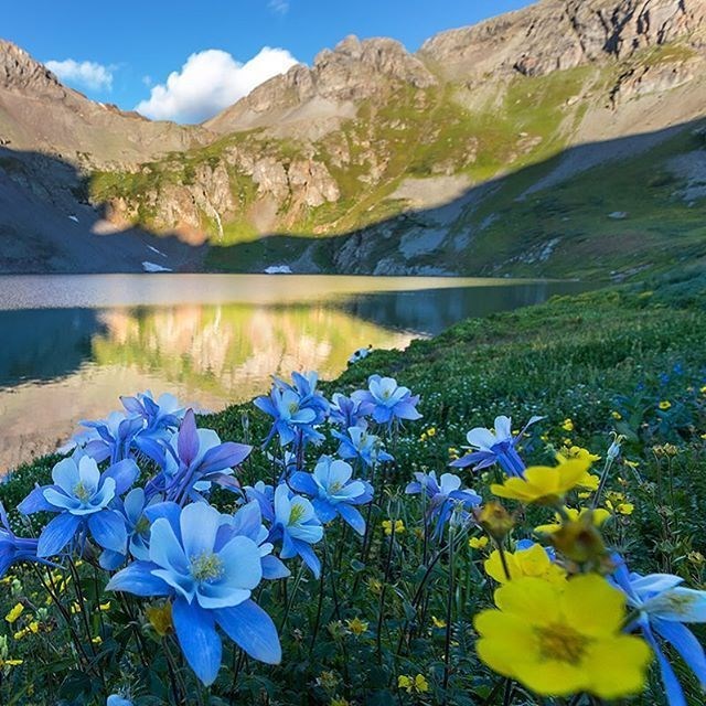 Obituary of Natalie Joyce Grant