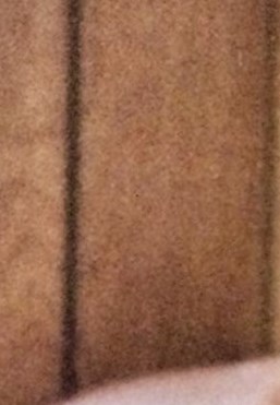 Suzanne Schutt Obituary - Jackson, MS