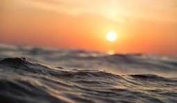 Obituario de Stephen Arthur Rozanski