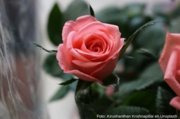 Obituario de Elizabeth Rivera Rodriguez
