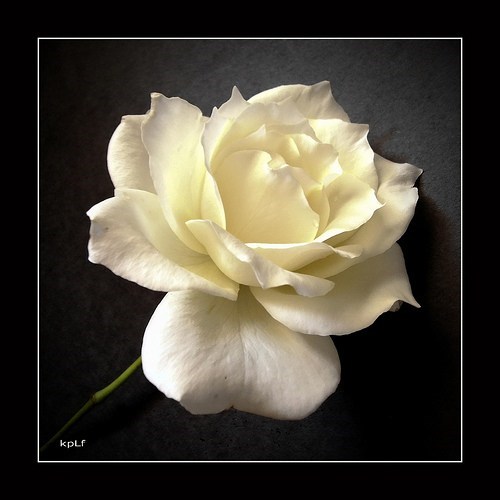 Obituary of Terry Lynn Sublett