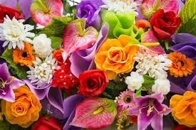 Obituary of Dawna Maria  Jonte