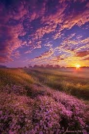 Obituary of Teresa Gail Jones