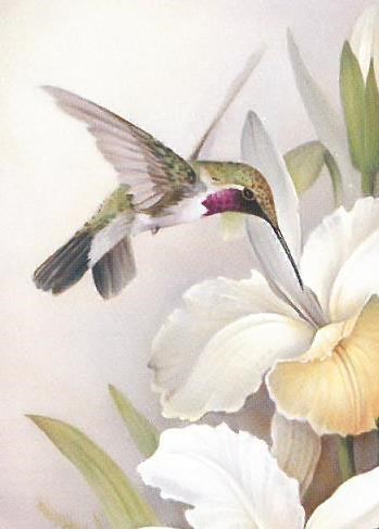 Obituario de Doris Wells Scott