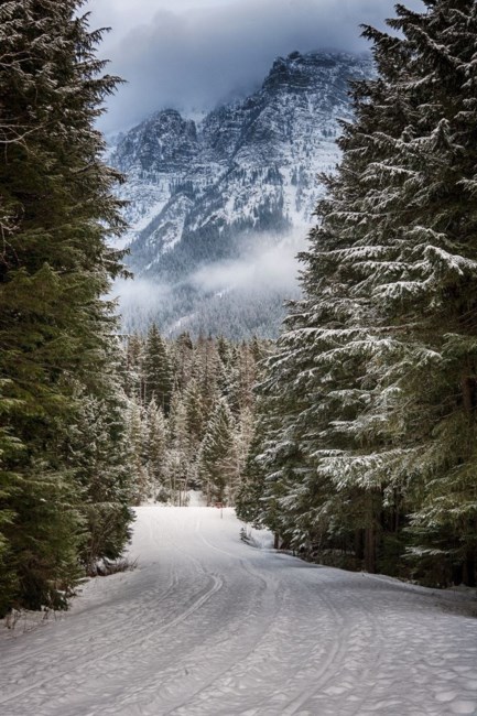 Obituario de Jacqueline Kay Allen