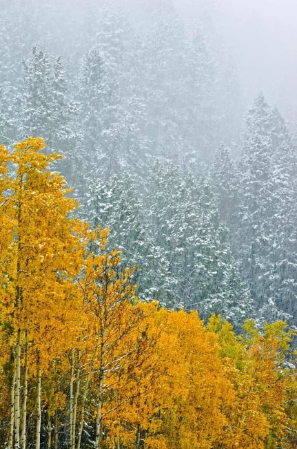 Obituary of Jacqueline Kay Allen