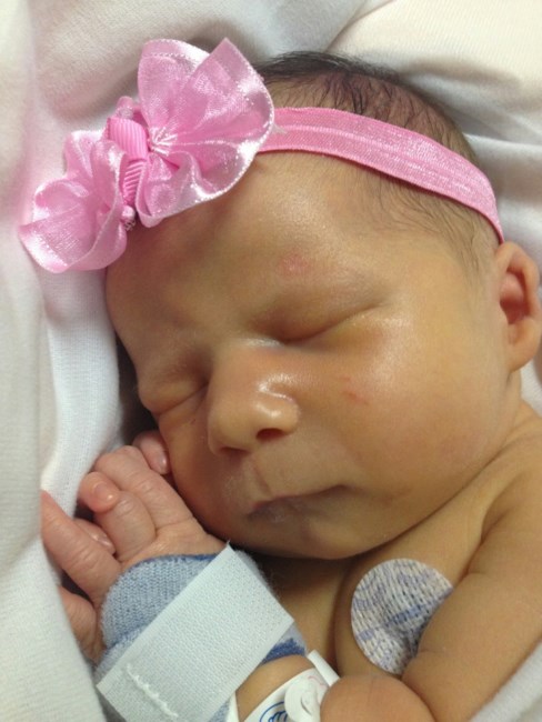 Obituary of Camryn Ann Matticola