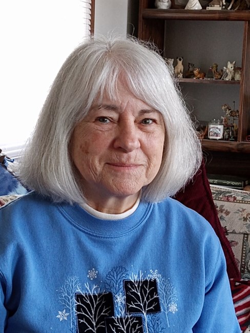 Obituary of Terilyn Lee Hafner