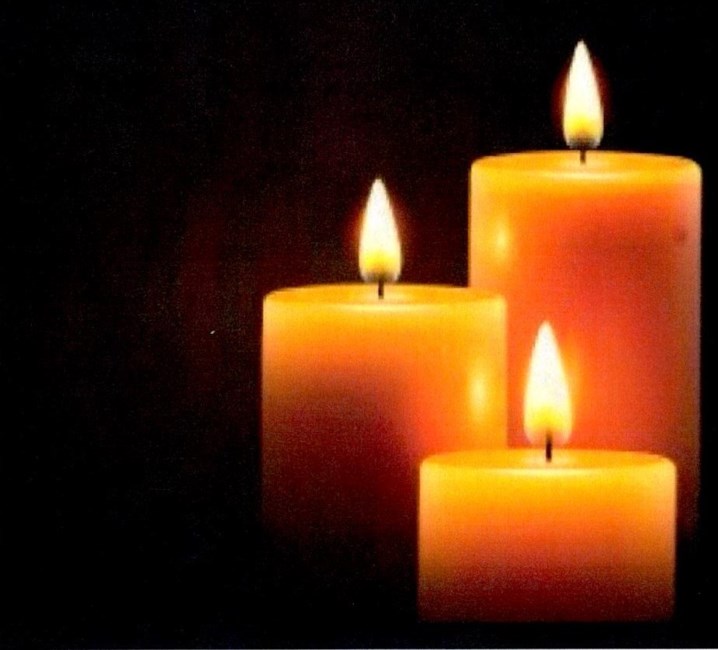 Obituary of Nelida Cadiz-Pintor