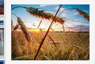 Obituary of Ka Ye Xiong