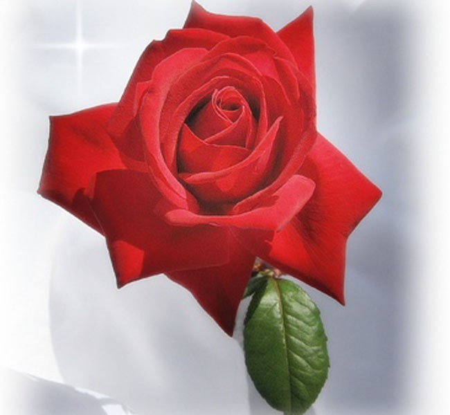 Obituary of Dorris Janet Goodrich